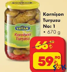 BİZİM VATAN KORNİŞON TURŞUSU 670 G fiyat ve kampanya bilgisi